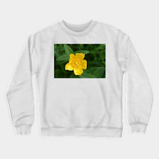 Real Beautiful Flowers outside Crewneck Sweatshirt